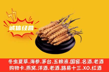 德阳市广汉回收冬虫夏草